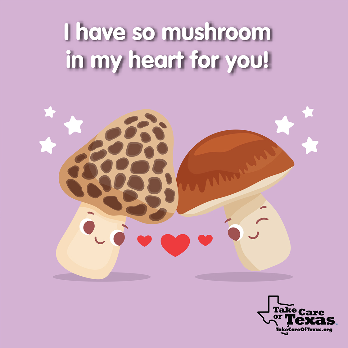 I have so mushroom in my heart for you!