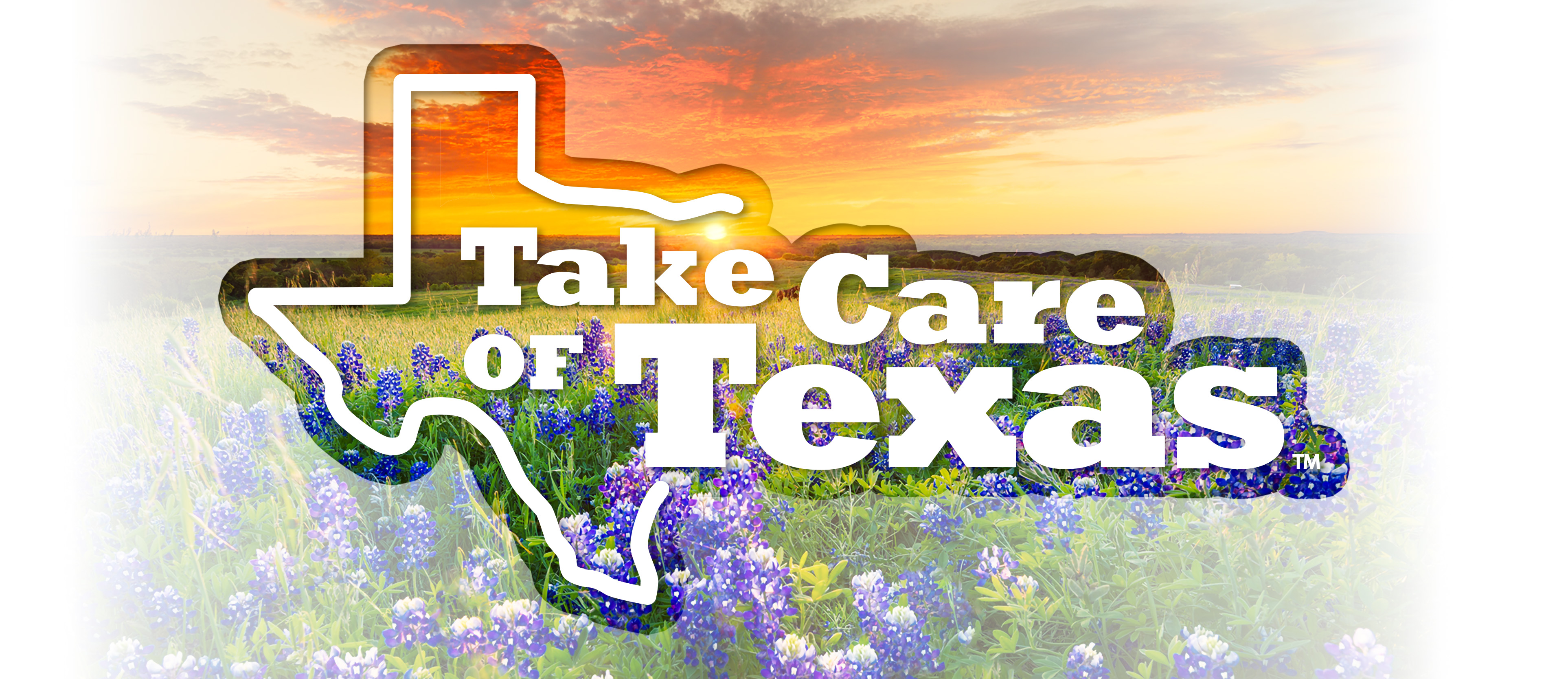 About Take Care of Texas
