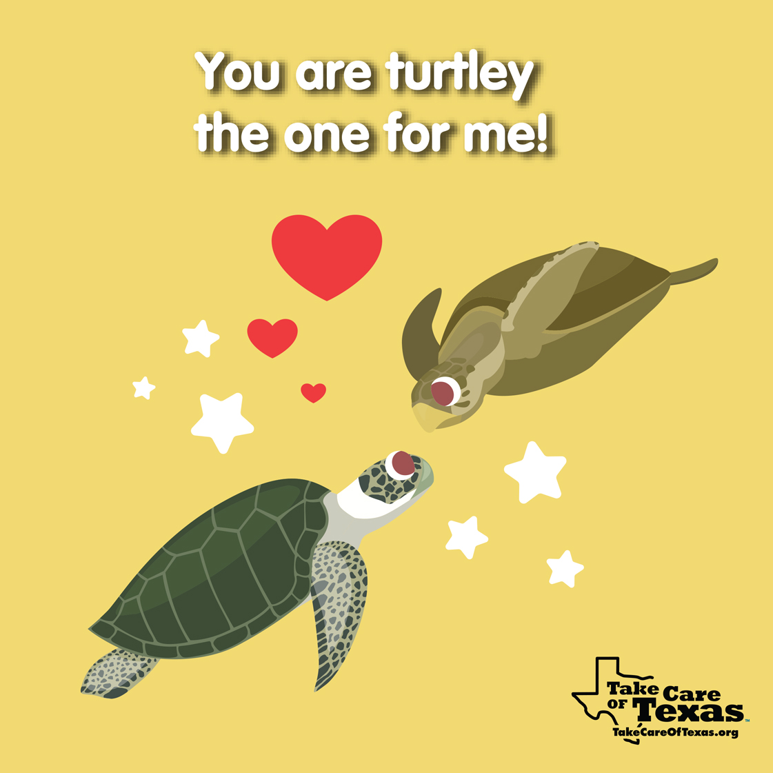 Turtles with the text "You are turtle-y the one for me!"