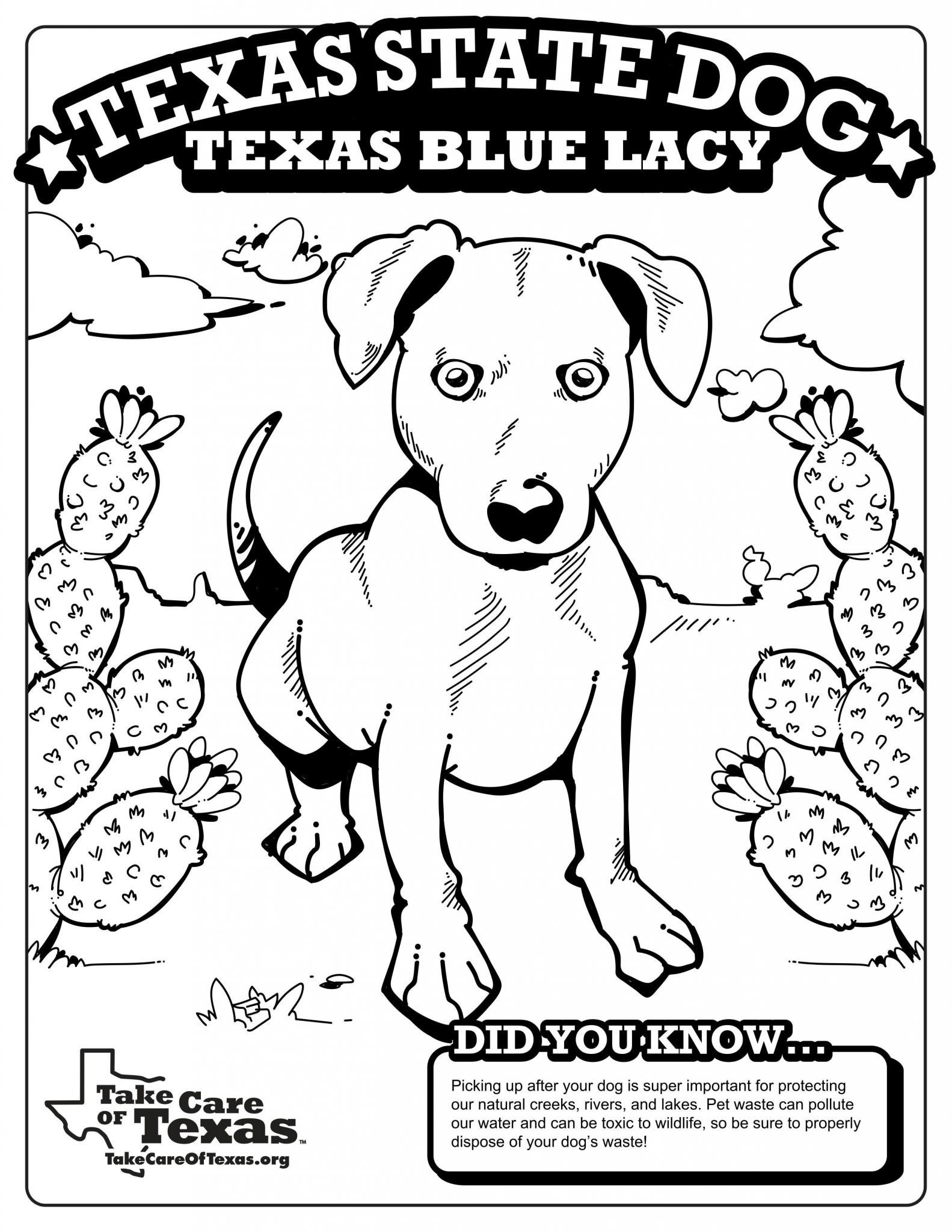 Texas Symbols Coloring Pages Take Care Of Texas 8249