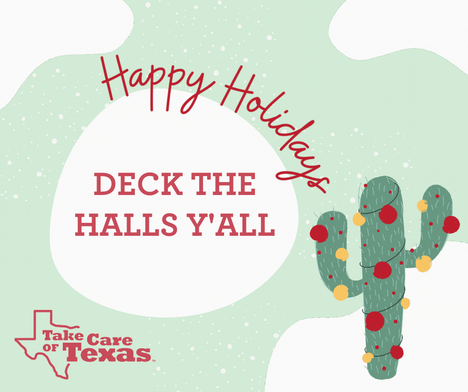 Cactus with Holiday Lights featuring the text "Deck the Halls Y'all"