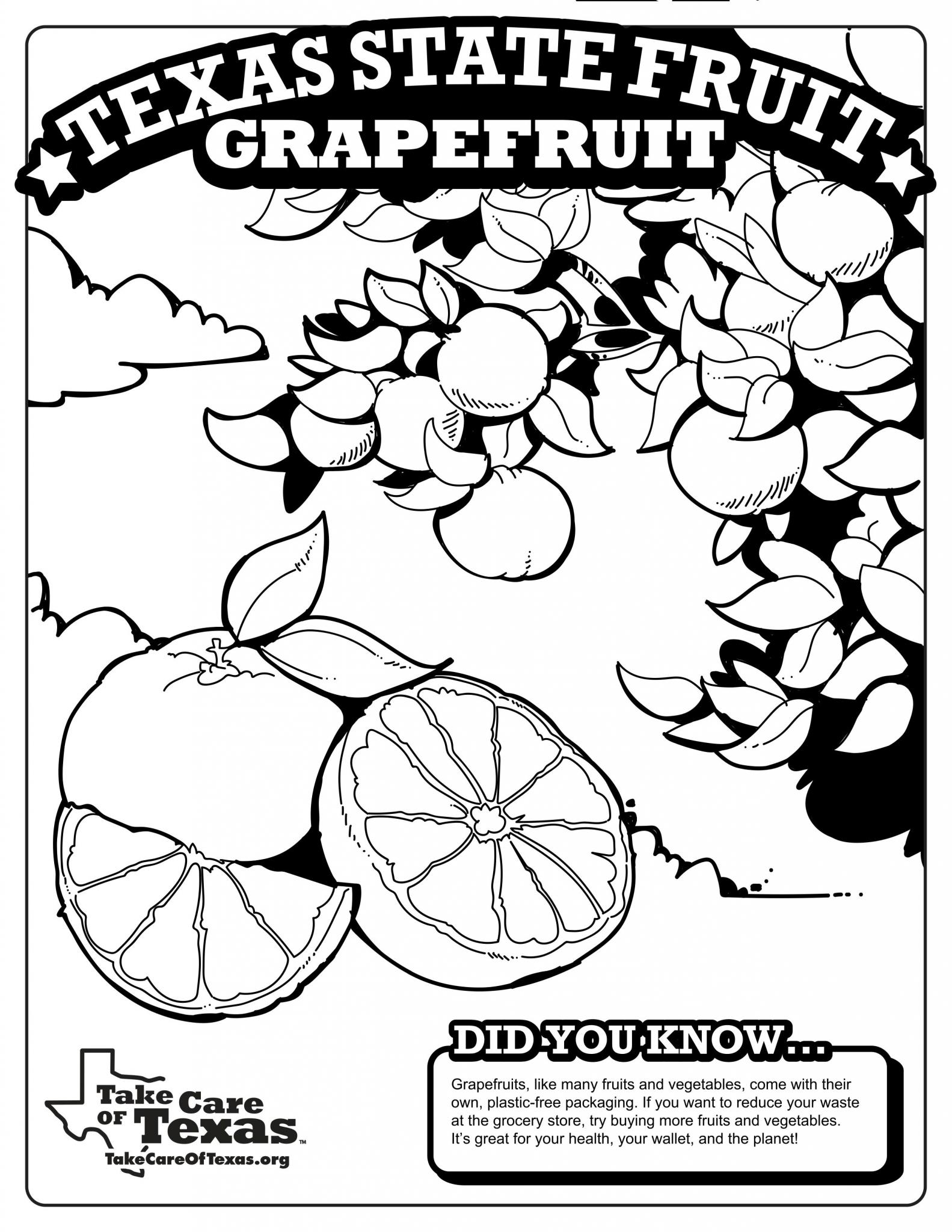 Grapefruit Coloring Page