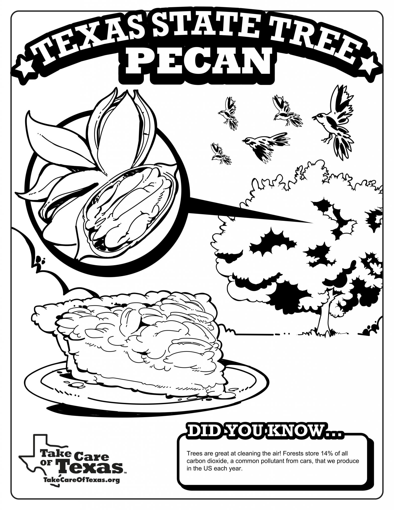 texas symbols coloring pages