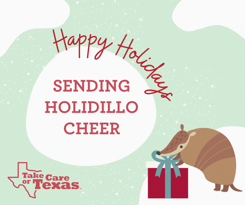Armadillo opening a present featuring the text "Sending Holidillo Cheer"