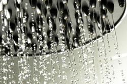 showerhead spraying water