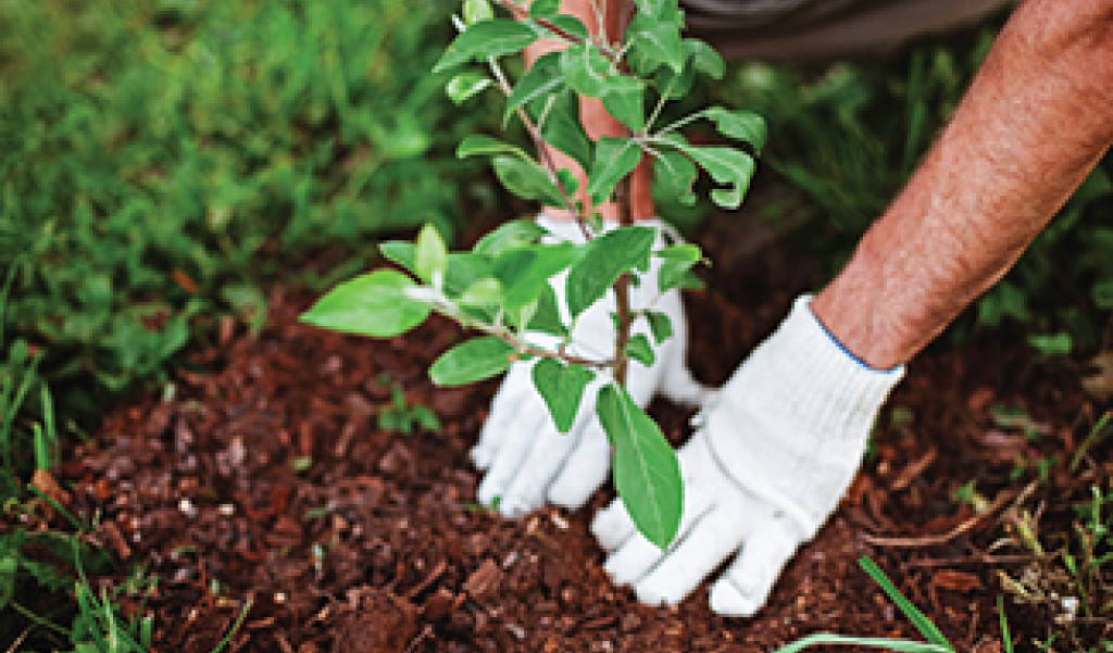 One Insanely Easy Way to Save Water