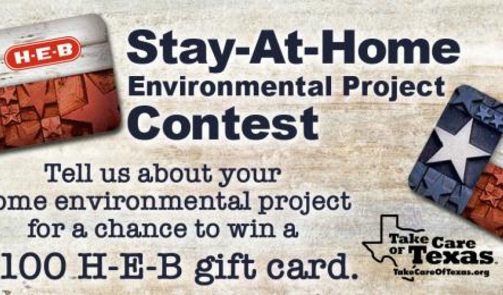 Stay-At-Home Environmental Project Contest