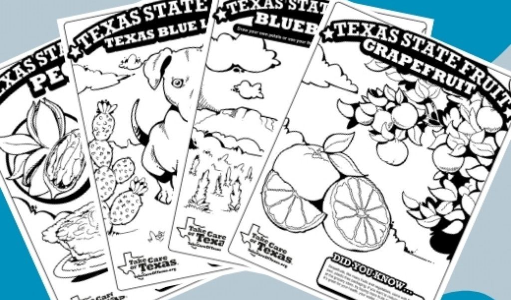 Texas Symbols Coloring Pages