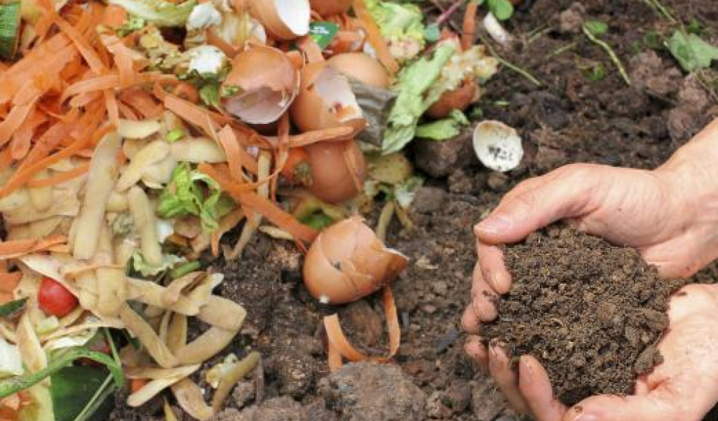 How to Use Compost
