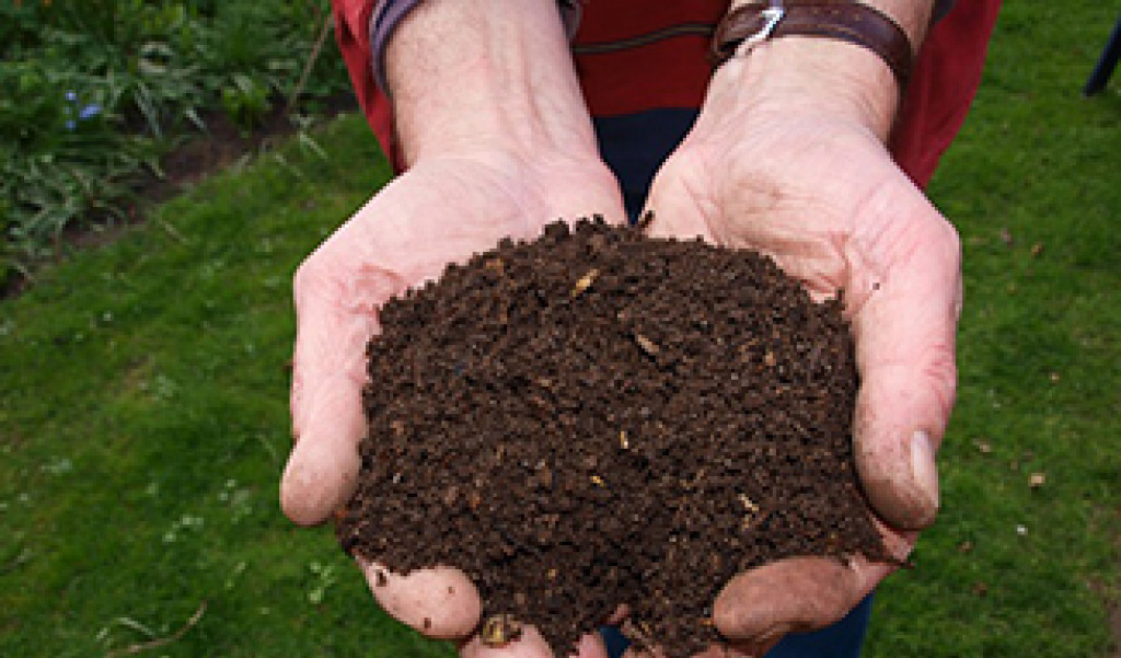 The Truth About Turning Your Compost Pile