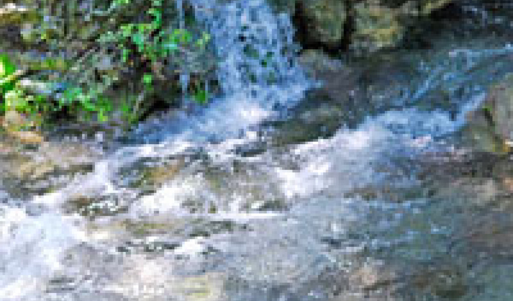 Celebrate National Groundwater Awareness Week