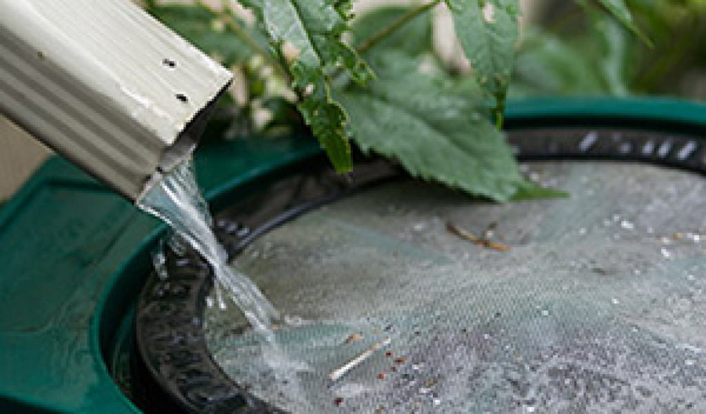 Want to Know the Fundamentals of Collecting Rainwater?