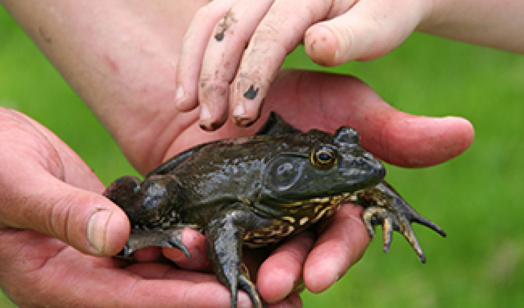 Make the Great Outdoors Your Classroom