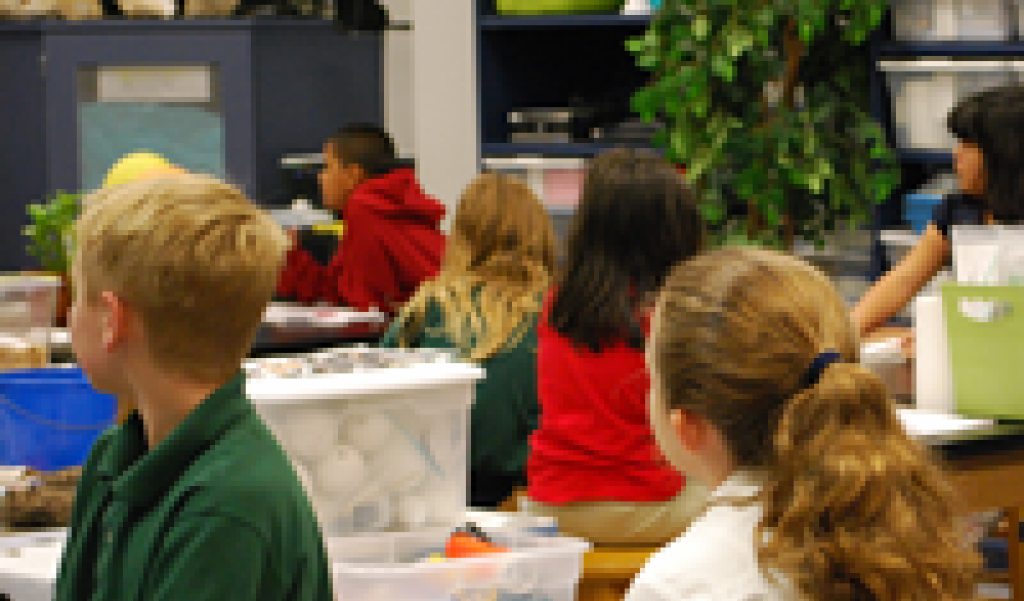 Pollution Prevention Project and Lesson Ideas
