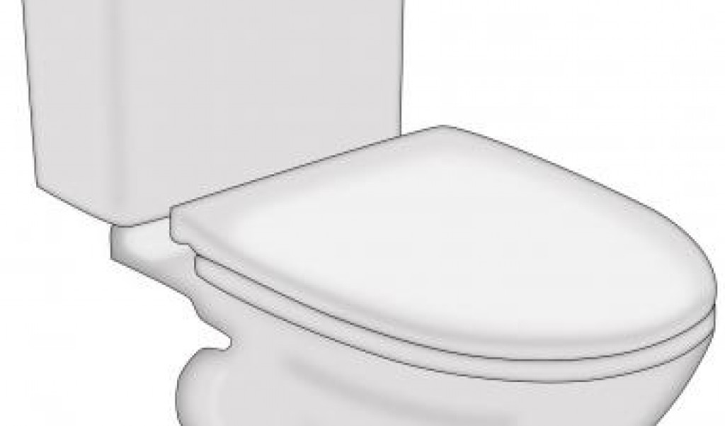 Some Things you Might Not Know About Replacing Toilet Guts