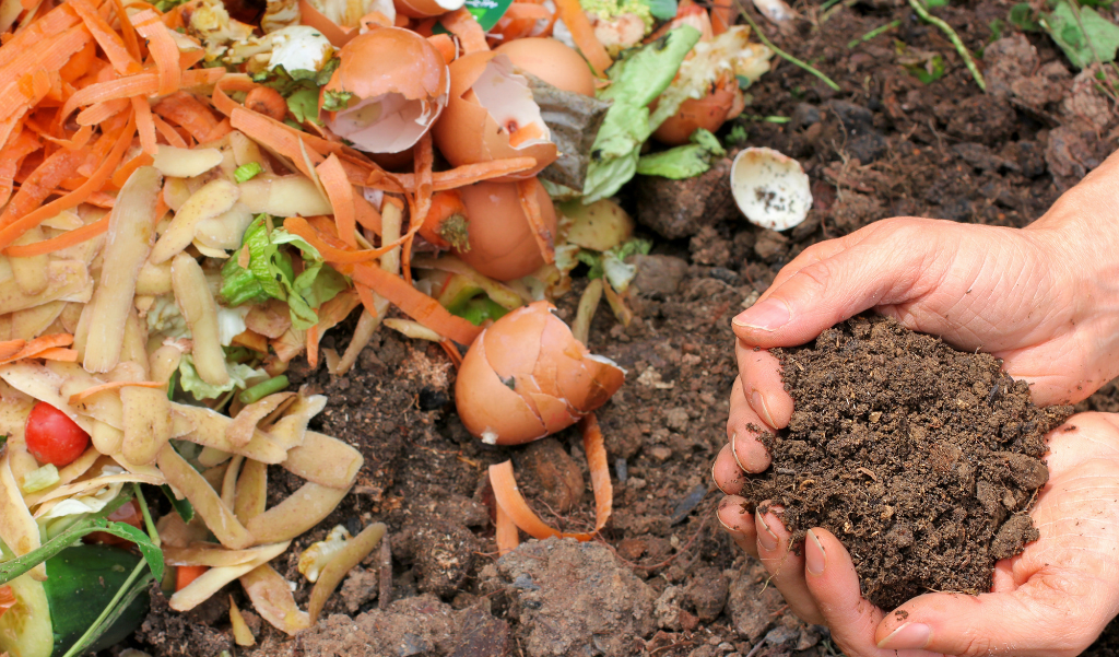 compostable food waste