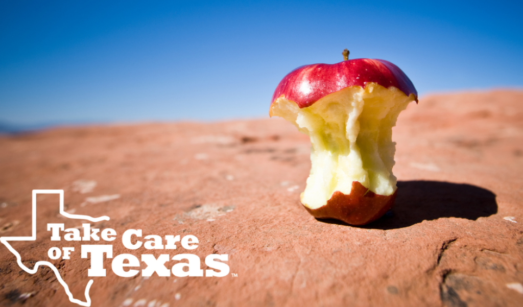 Apple core by the side of a road