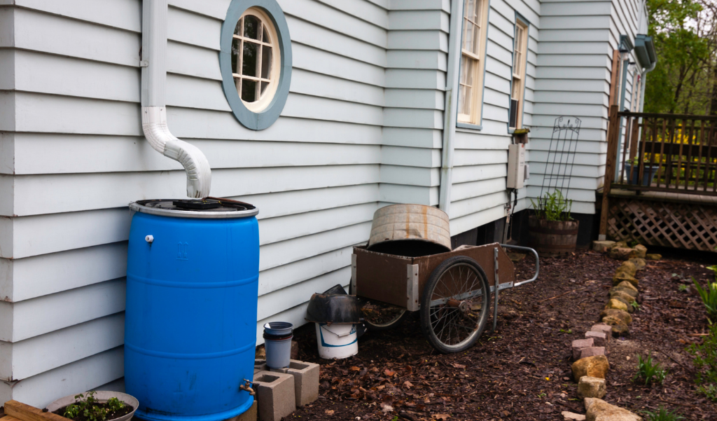 house with gutter downspout draining into blue plastic rain barrel