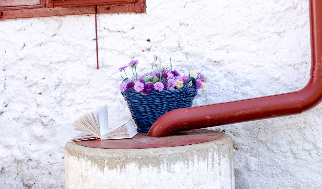 rainwater barrel with flowers and a book