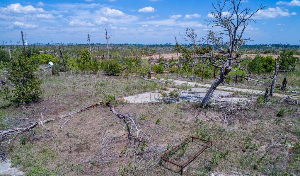 wildfire aftermath