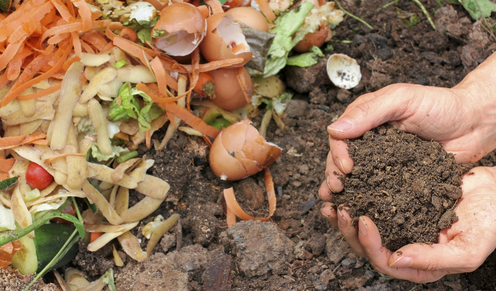hands shifting through compost