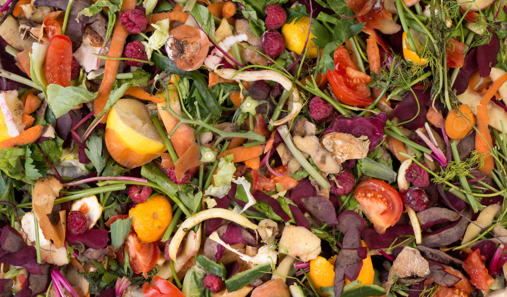 colorful pile of composted vegetables