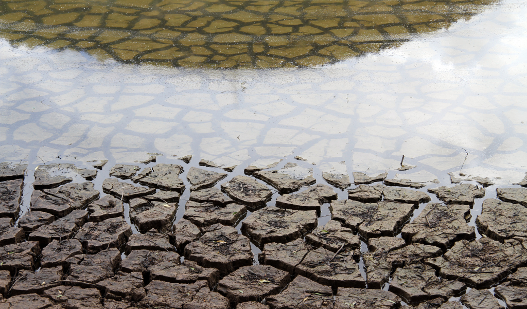drought-cracks soil with water