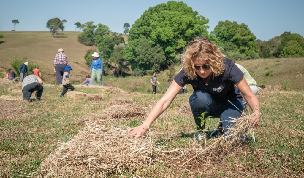 Volunteers cleaning a park.