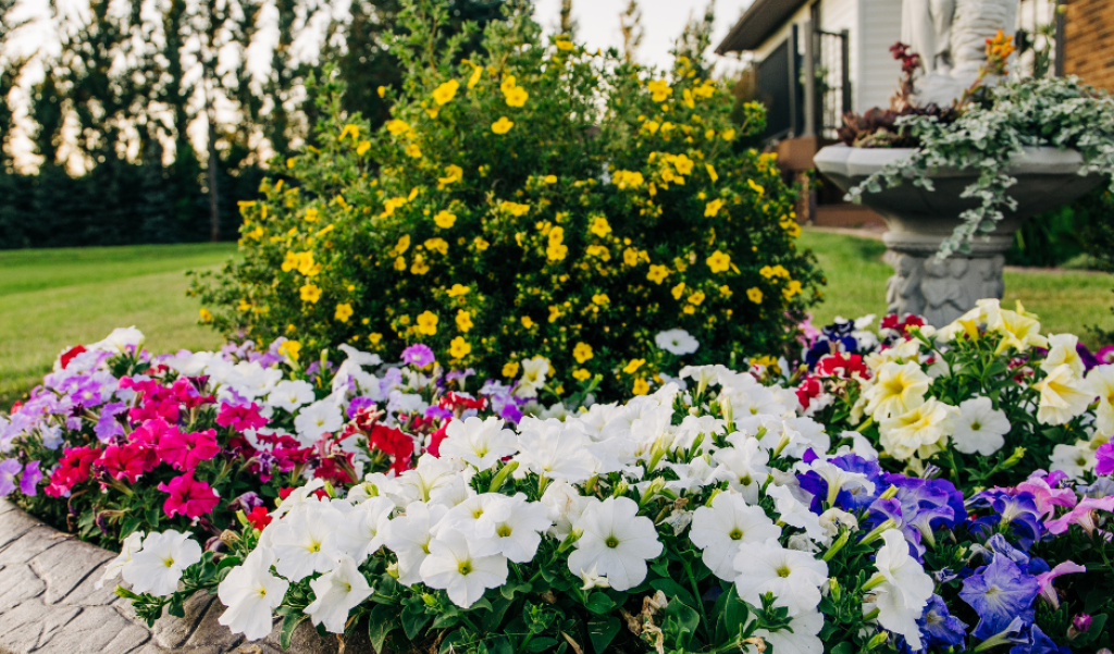 well manicured flower bed surrounded by a lawn