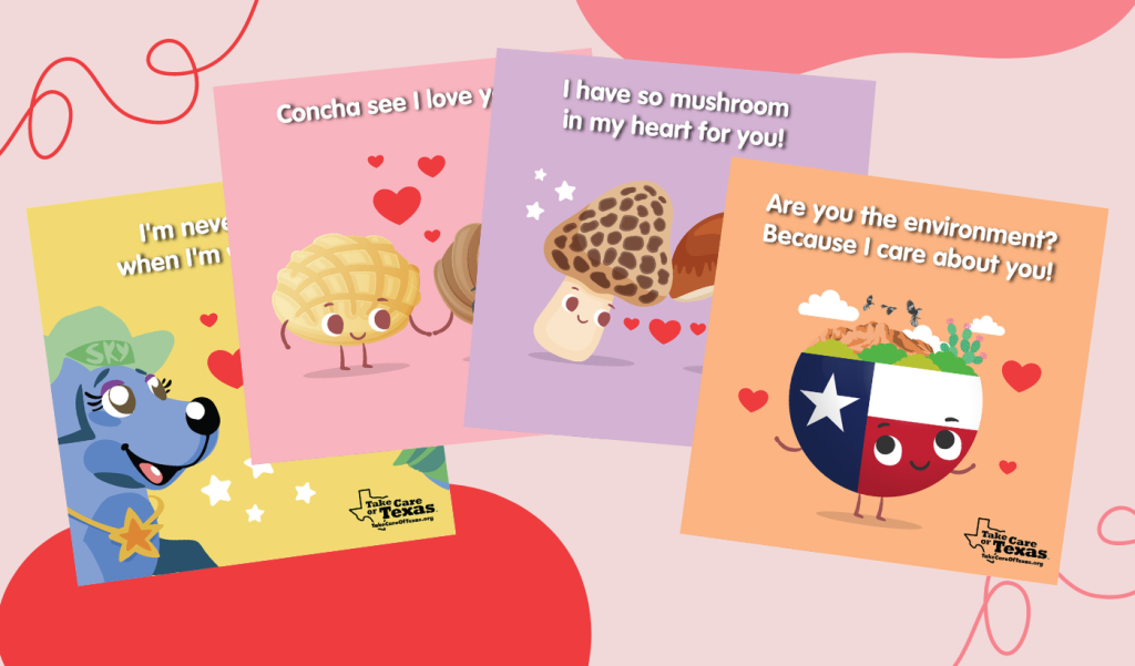 Take Care of Texas Valentine's Day Cards