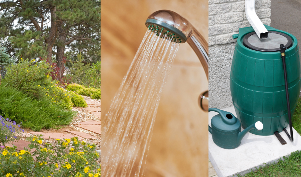 image of a xeriscape lawn, a showerhead, and a rain barrel