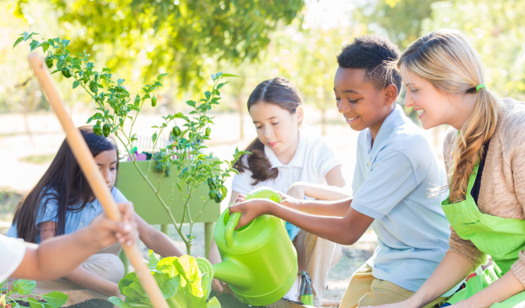 Benefits of Starting Your Own School Garden