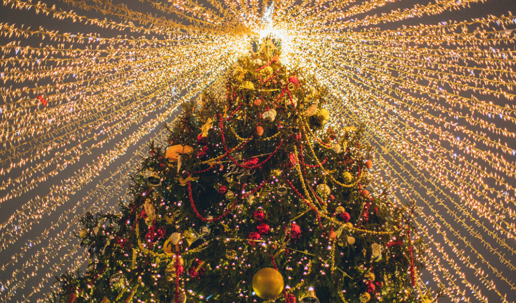 holiday tree with lights