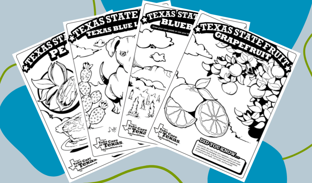 Texas Symbols Coloring Pages
