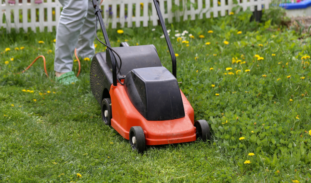 Lawnmower cutting lawn