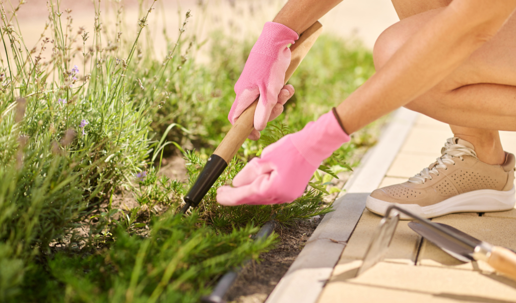 Woman wearing pink gloves and pulling weeds in yard.