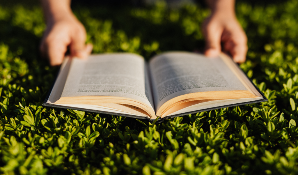 Hands with an open book outside