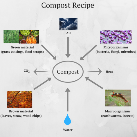 Create Your Own Compost
