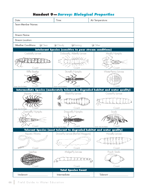 Survey: Biological Properties