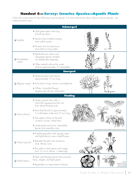 Survey: Invasive Species—Aquatic Plants