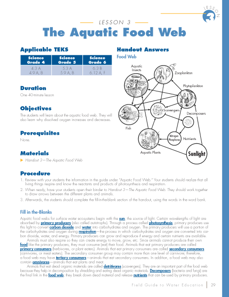 the aquatic food web