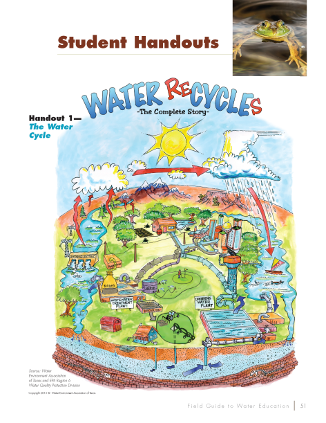 The Water Cycle