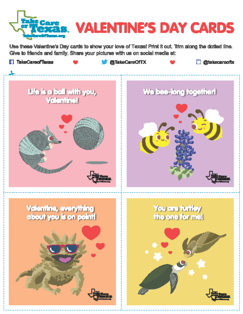 Valentine's Day Cards
