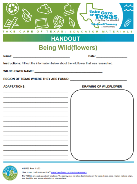wildflowers handout
