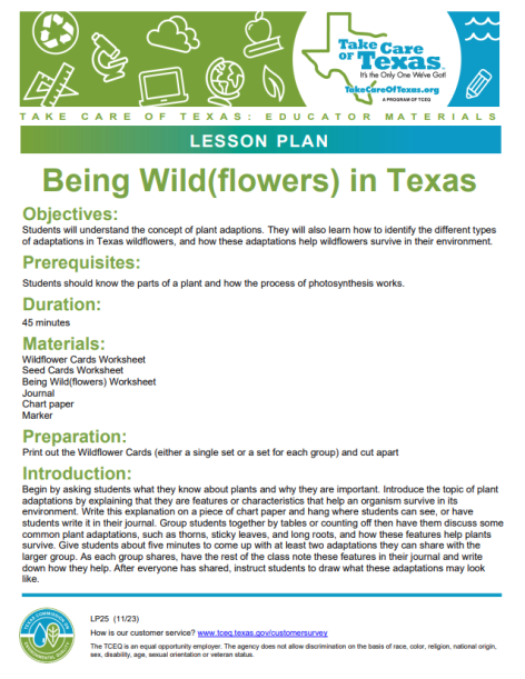 being wildflowers lesson plan