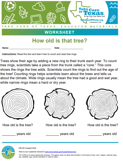 tree rings worksheet