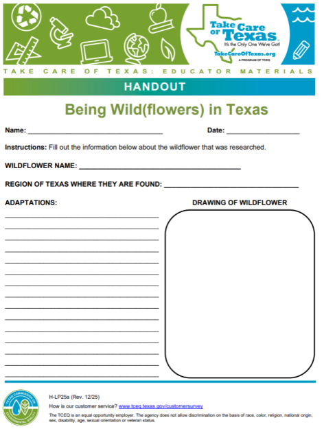 being wildflowers handout