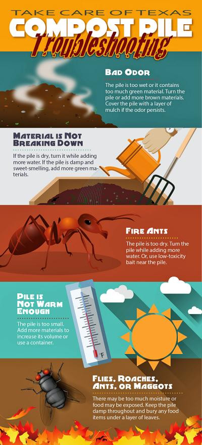 infographic compost