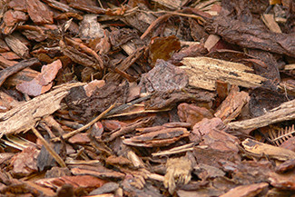 Benefits of Mulch