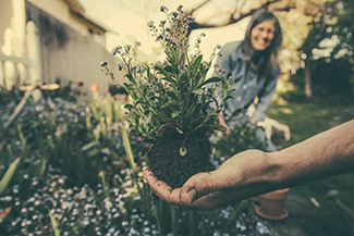 Environmental Benefits of Gardening